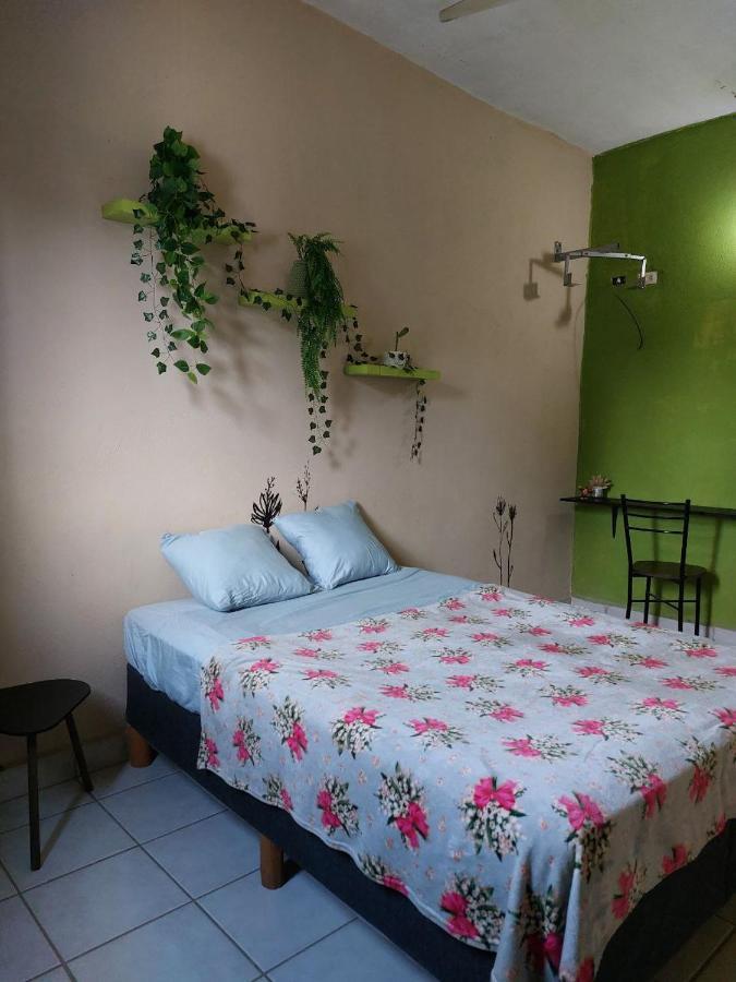 Cho Ku Rei Hostal San José del Cabo Exteriör bild