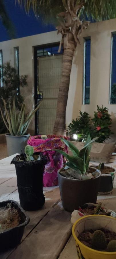 Cho Ku Rei Hostal San José del Cabo Exteriör bild