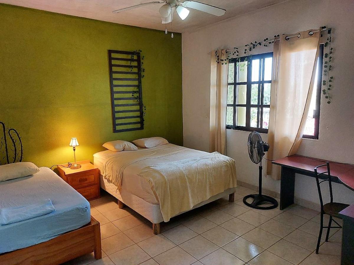 Cho Ku Rei Hostal San José del Cabo Exteriör bild